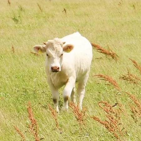 Waldhof-iphofen * Iphofen