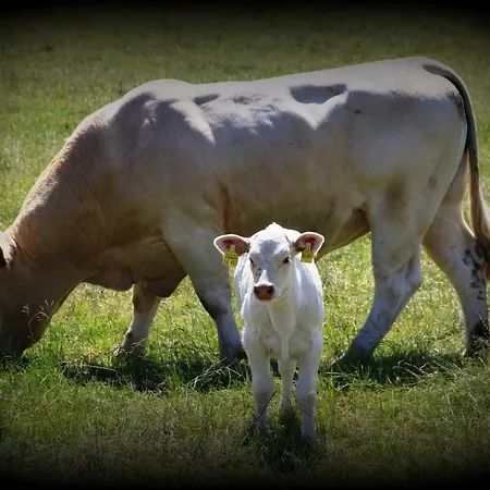 Waldhof-iphofen * Iphofen