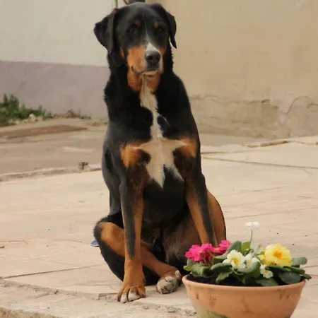 Waldhof-iphofen דירה